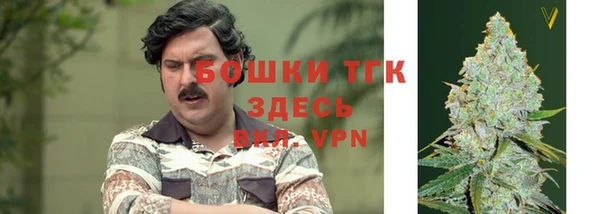 МДПВ Волосово